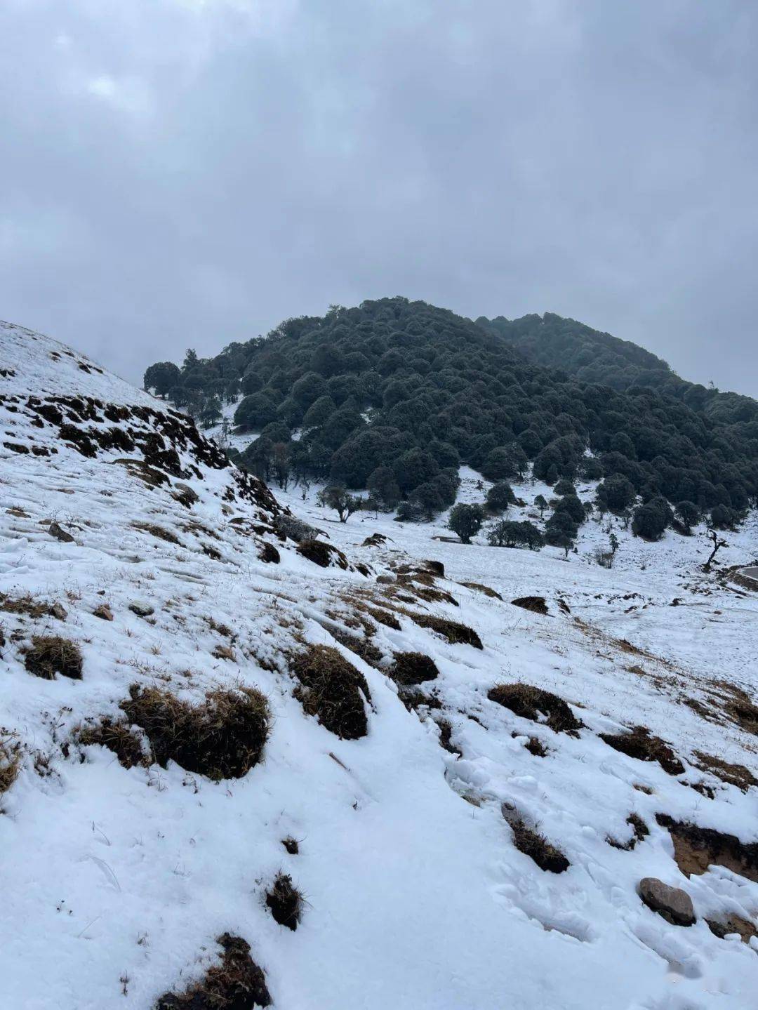 芒市苤菜坝下雪图片