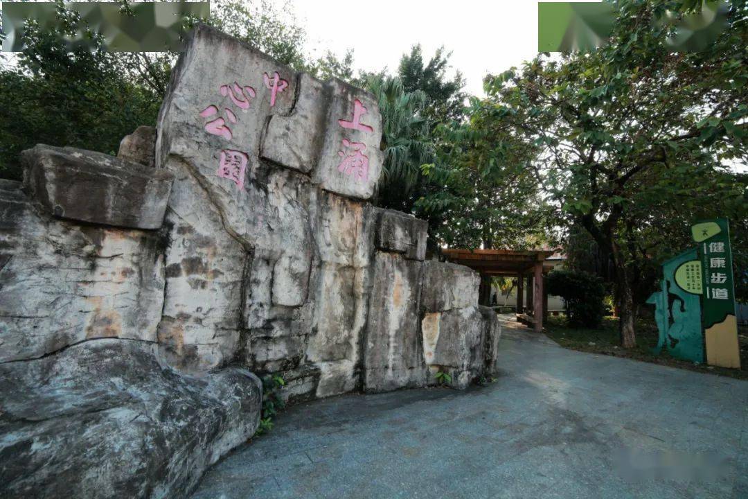 顺德勒流上涌2022_上涌村_公祠_古松