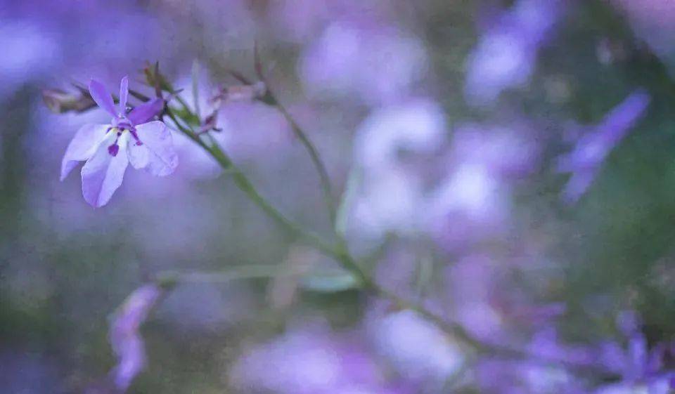 中国家电出口有压力,但制造强国地位不可撼动-家电圈官网