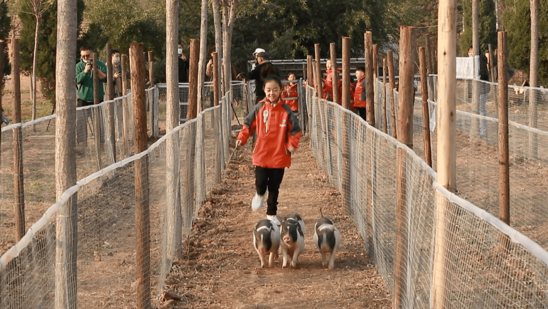 小记者不雅全国丨成为小小宇航员