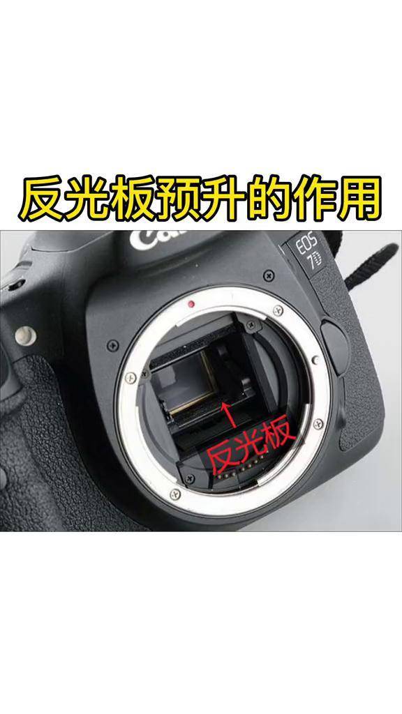 佳能相机 反光板预升的作用单反 摄影