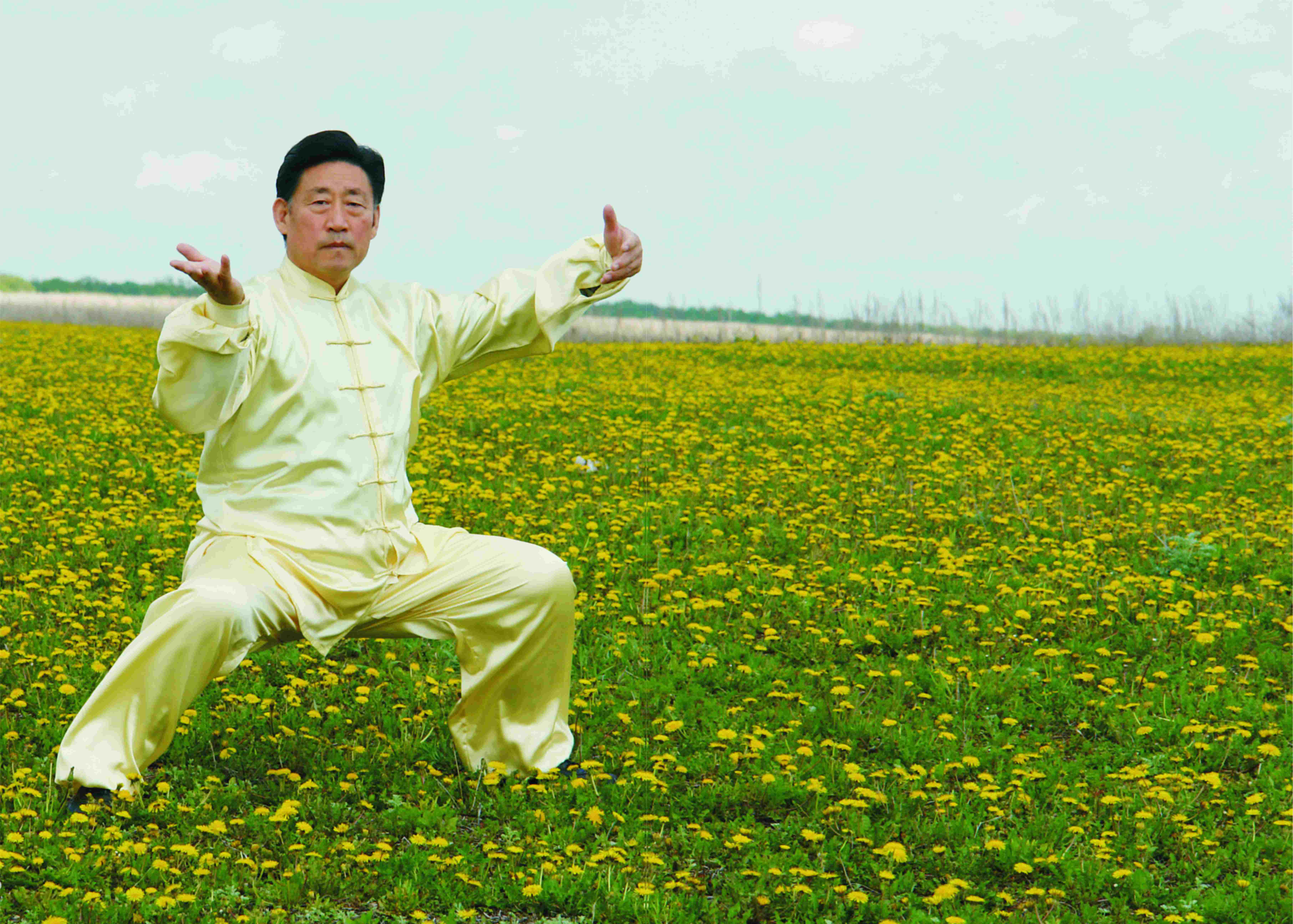 太极 #陈家沟 #陈小旺 #陈小星 #陈自强 #陈式太极拳 #人类非物质