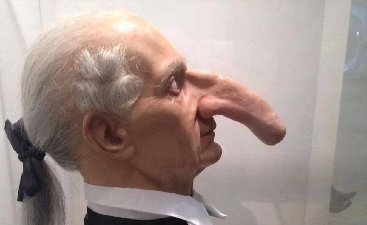 24张照片看世界:鼻子长达19厘米的人,用手枪击落飞机的士兵_搜狐汽车