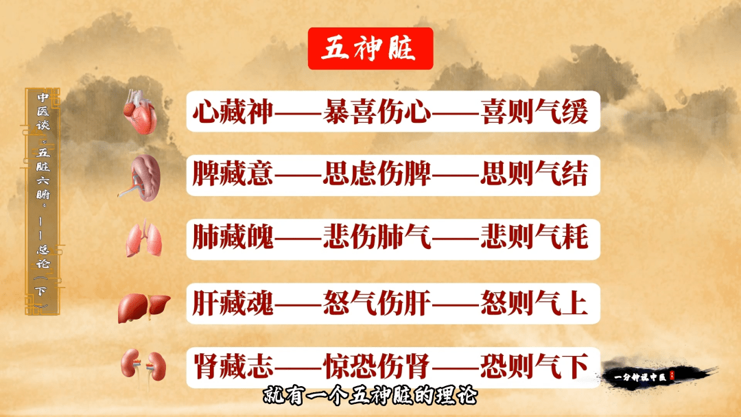 《一分钟说中医》| 中医谈"五脏六腑"总论(下)_关系_中医药_内容