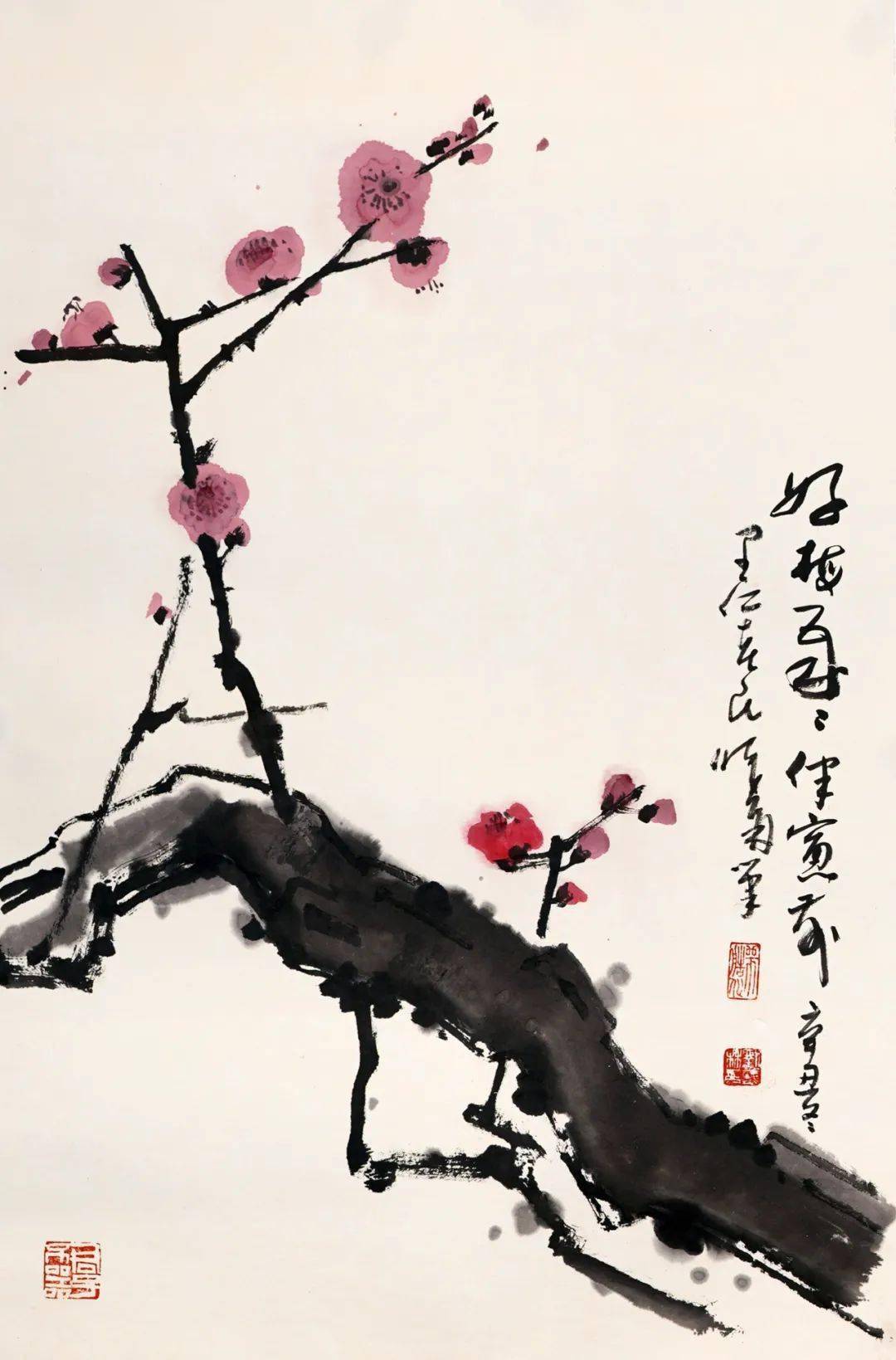 12月10日21:00顺次截拍!