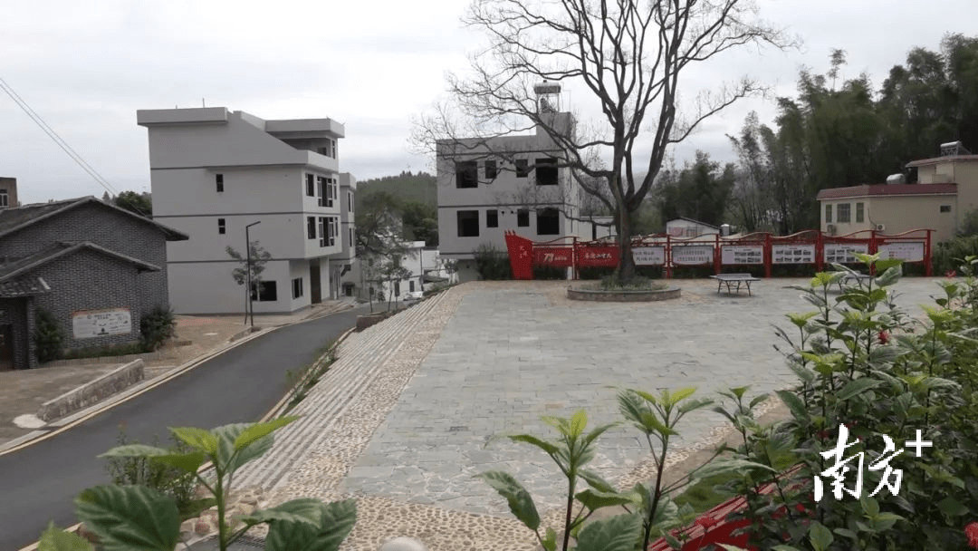 韶关新丰:村内道路硬底化铺就乡村振兴"快车道"
