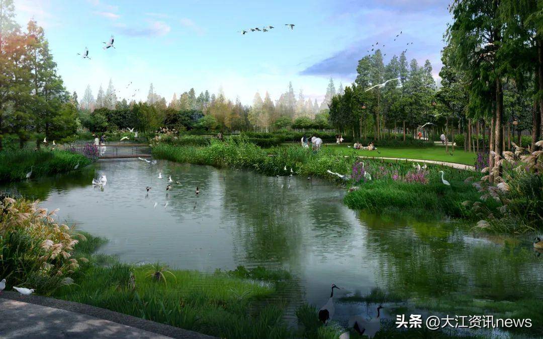 蕪湖這座新溼地公園美景提前看_建設_生態_外龍