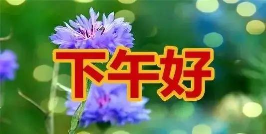 下午短信问候祝福短信_朋友_亲爱的_闻者