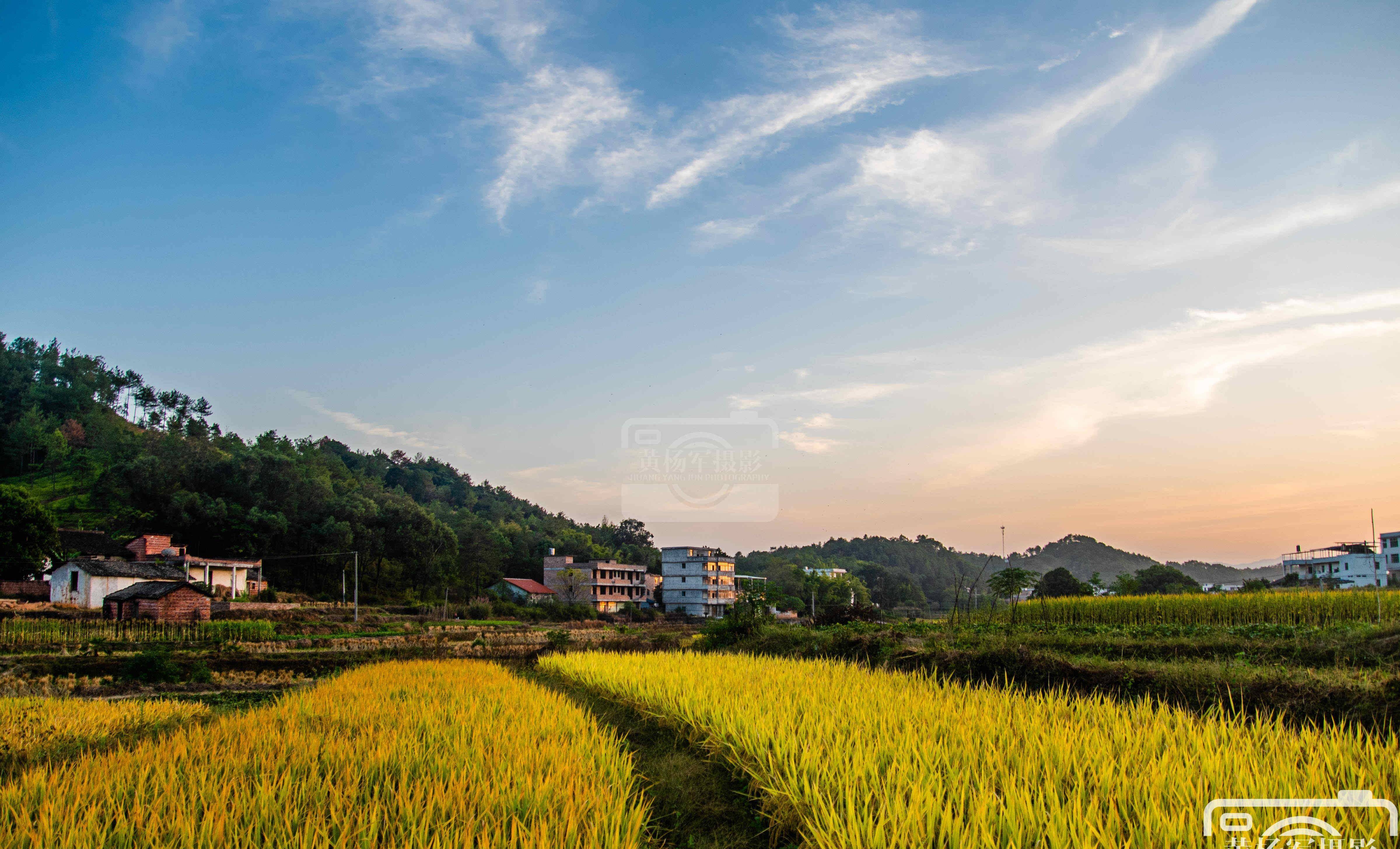 江西河田村的乡村秋色,稻浪金黄景色美如画,距于都城仅11公里
