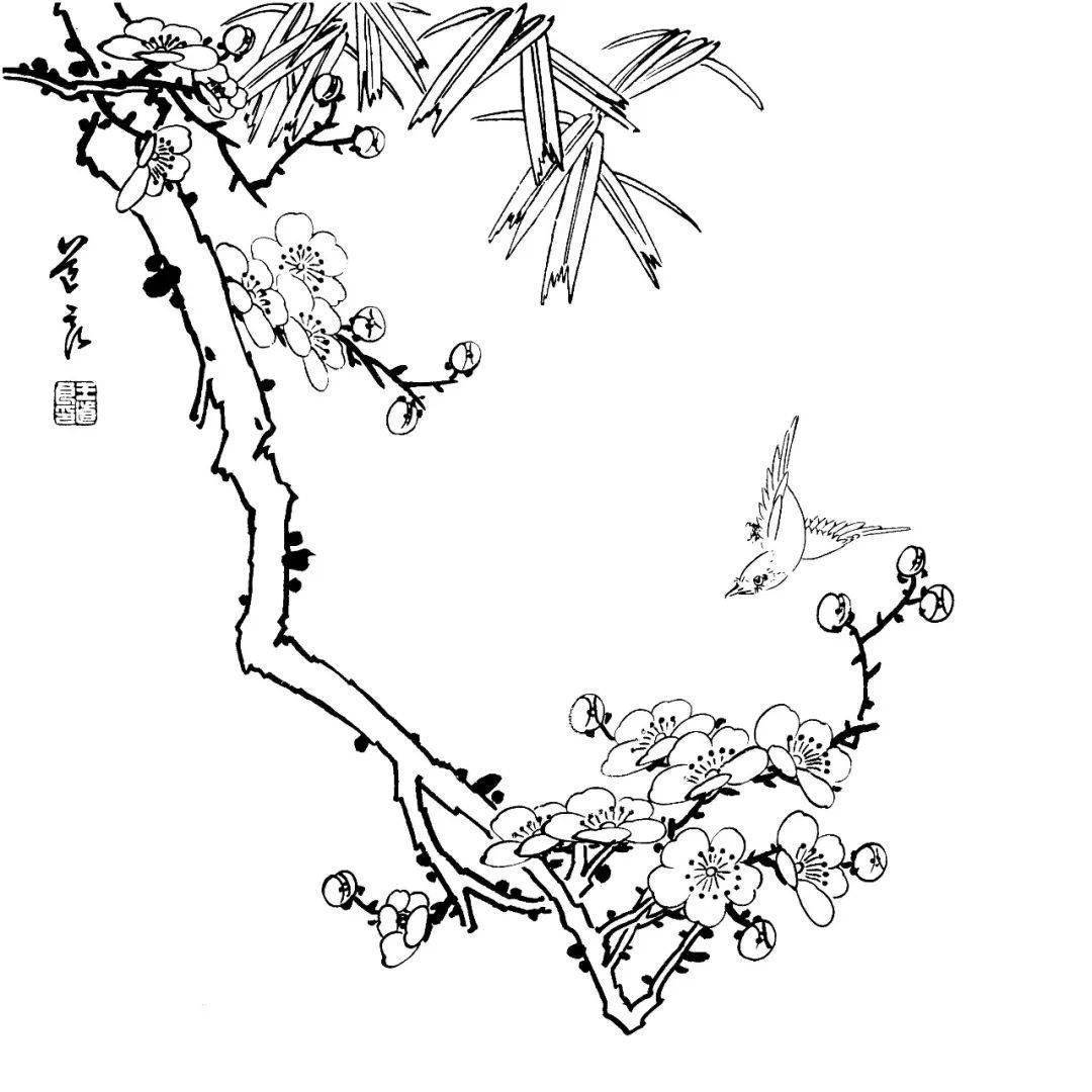 工笔花鸟白描素材，喜好保藏！！！