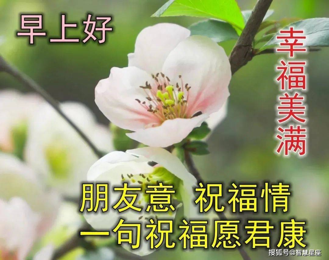 12月6日冬天好看的早安图片带字 温馨的早上好祝福语暖心句子送给你 生活 人生 男人