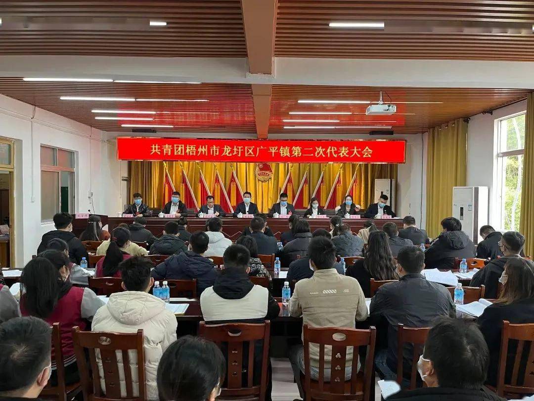龙圩区全面完成乡镇团委换届选举工作!_梧州_代表大会_广平镇