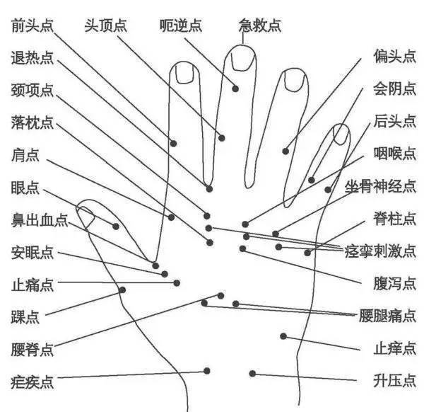 人体全息图，哪里不适按哪里（留着备用）