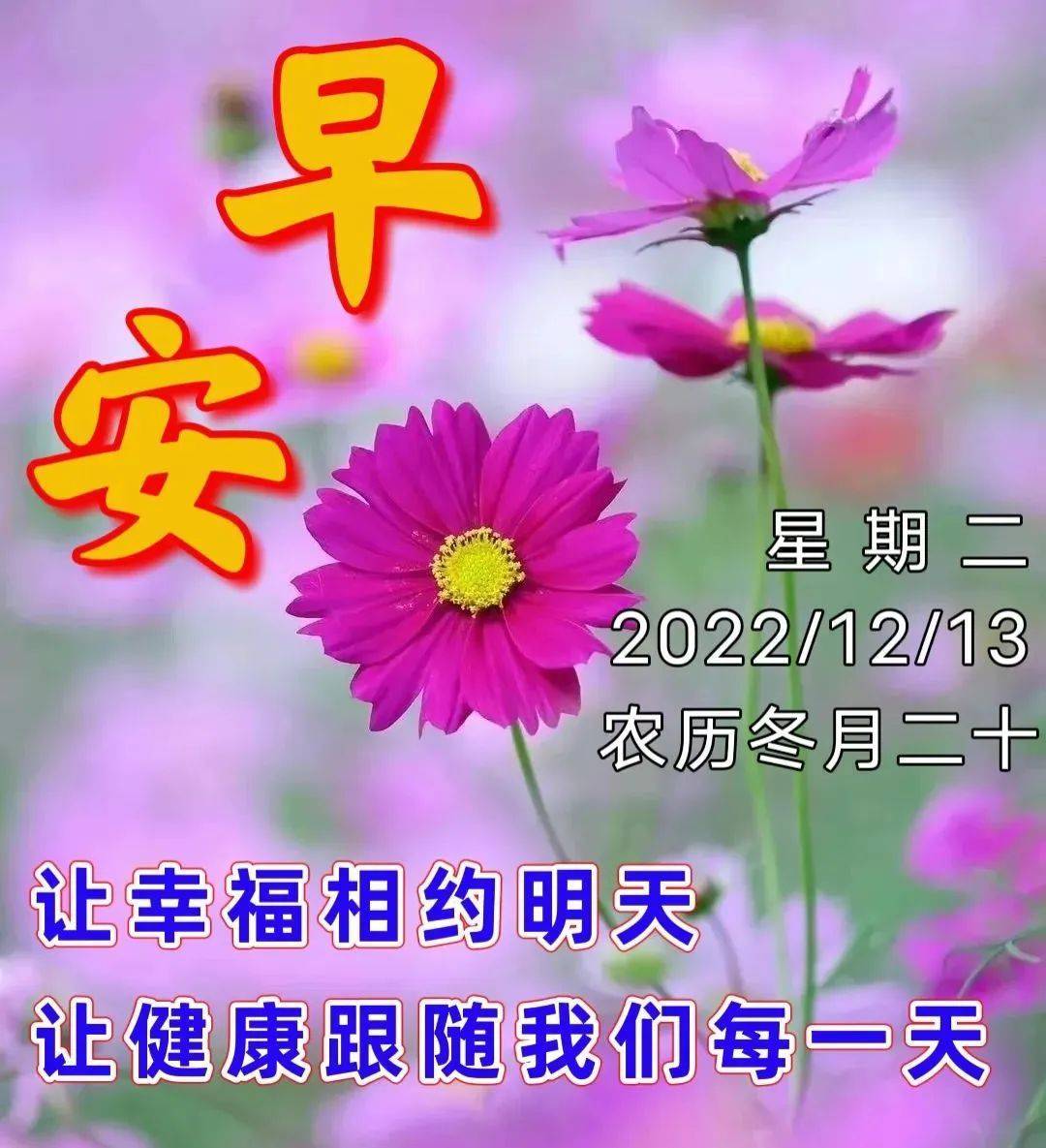 12月13日星期二清晨早上好问候祝福图片 周二最新早安问候祝福图片带