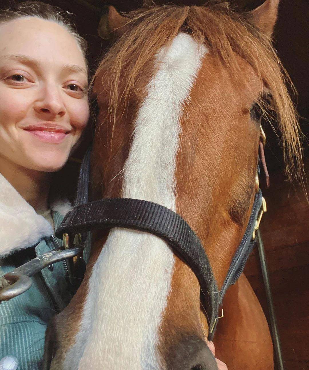 拥有惊艳世人的美貌,年入5000万,却甘愿做一名农妇_amanda_爱情_电影