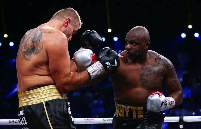 大数据分析他的拳击特点_比赛_tyson_拳头