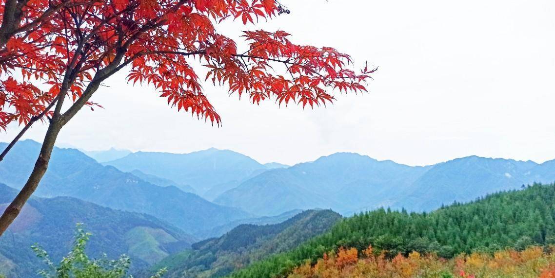 什邡红枫岭景区图片