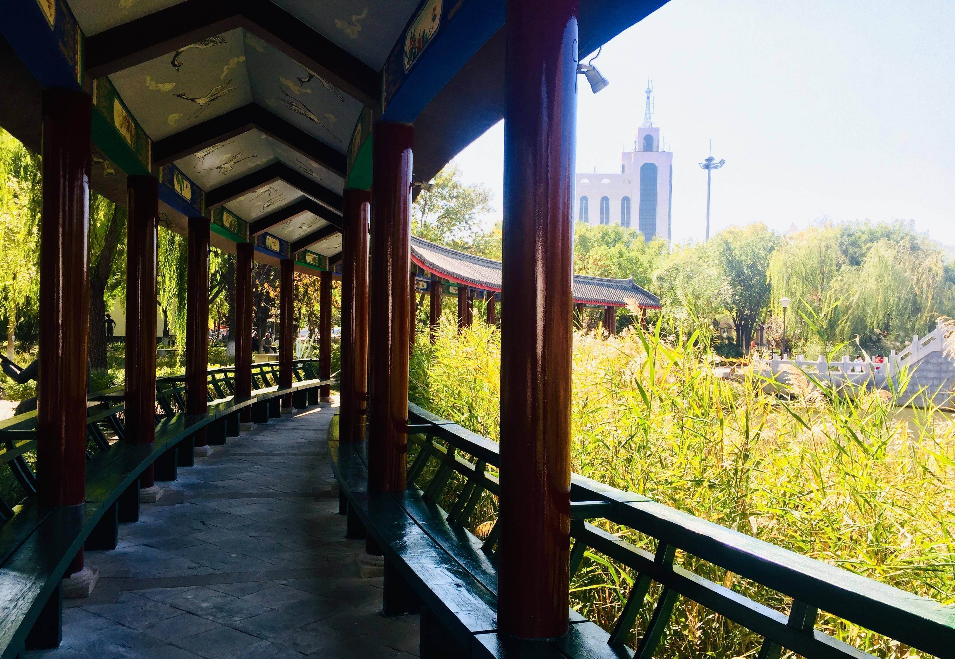 天津大港公园,孩子能玩一天,大人能坐一天的家门口的森林公园_摄影