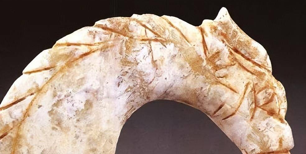 现藏于含山博物馆河南省濮阳西水坡遗址出土的用蚌壳堆出的龙形透案