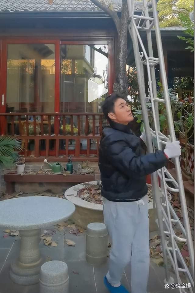 余少群:过起了田园生活,在别墅里干起"清扫院落和养鸡"的活计_视频