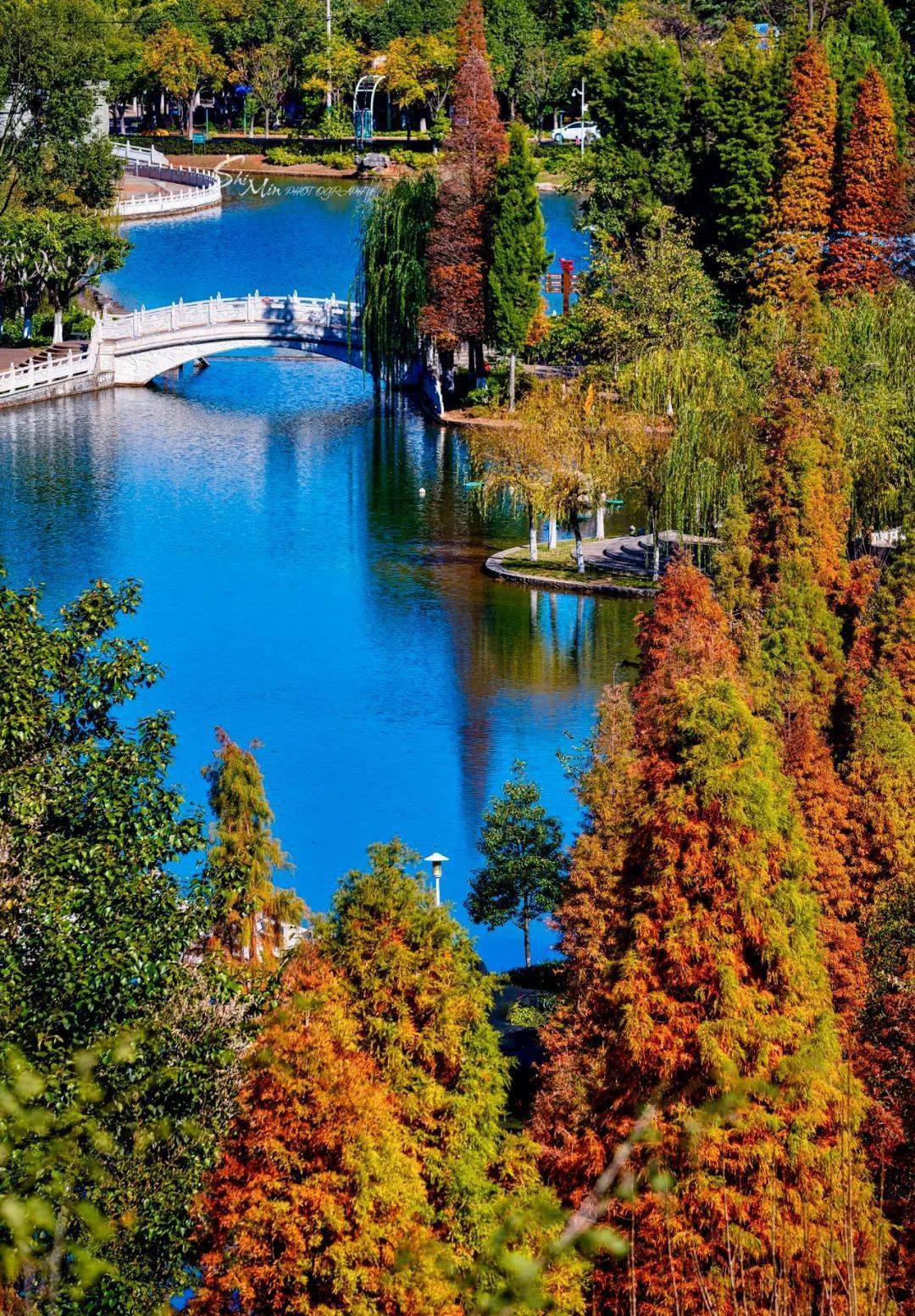 位于易门县城以西的龙泉公园生态旅游景区,与县城相接,是一个集湖