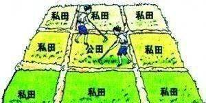 历史上的井田制是怎么回事,井田制的特点是什么?_集体_汉书_模式