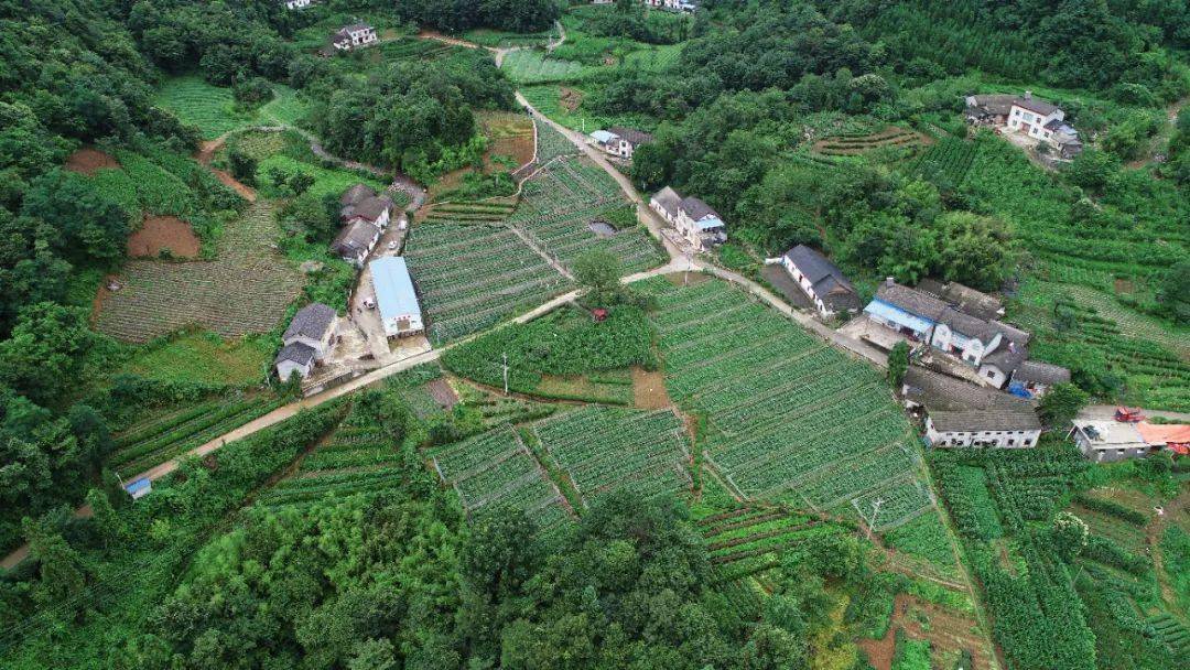 酉阳大溪镇全景图片