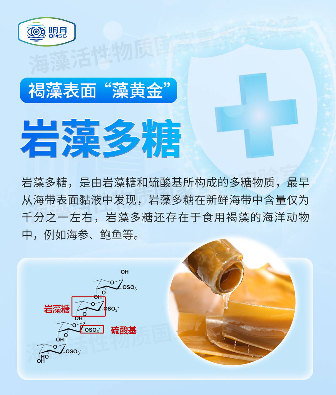 一张图了解 | 岩藻多糖如何提高免疫力_保护_研究_的作用