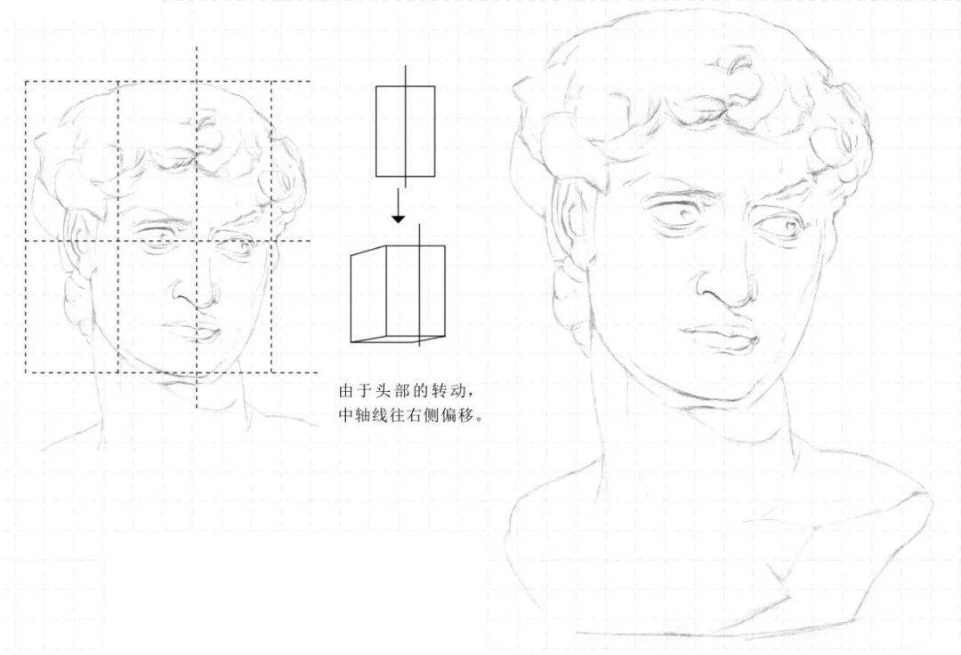 清美启迪画室 | 素描石膏头像教程:石膏大卫头像的画法_暗部_五官