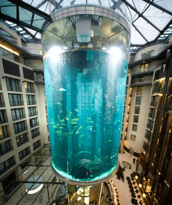 柏林市中心16米高的水族馆崩了