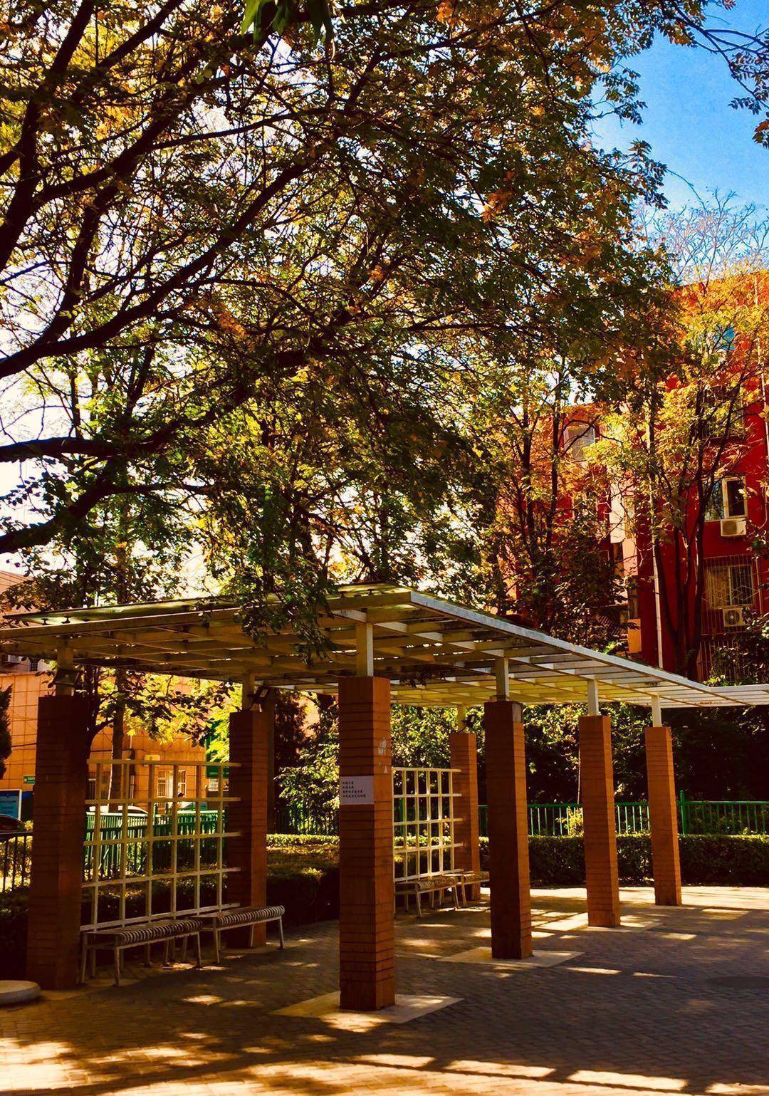 北京海淀,饭后遛弯看红叶,够精致,够艺术,够时尚的双榆树公园_摄影