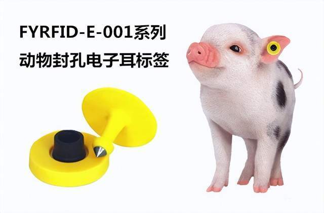 飞阳rfid鸡鸭鹅电子脚环和动物封孔电子耳标签,助力养殖业发展