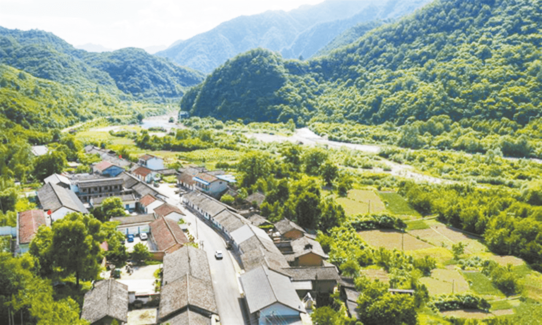 丹凤县棣花镇棣花社区商南县赵川镇腰岭村商南县富水镇茶坊村商南县试