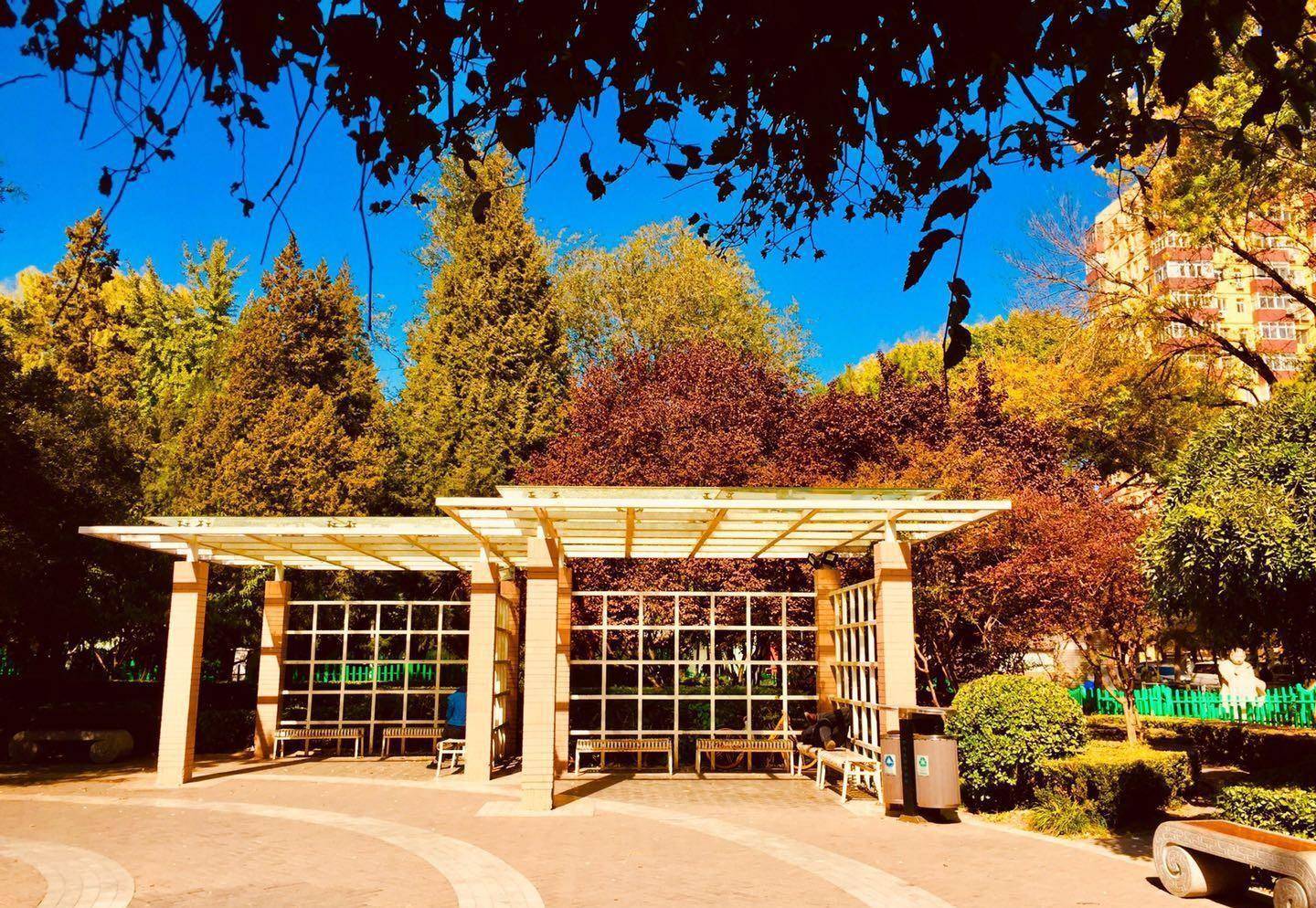 北京海淀,饭后遛弯看红叶,够精致,够艺术,够时尚的双榆树公园_摄影