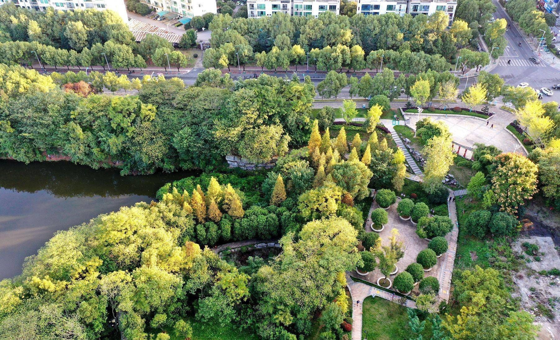航拍衡阳平湖公园:天蓝水碧叶黄,秋日美景如画_运动_健身_调色盘