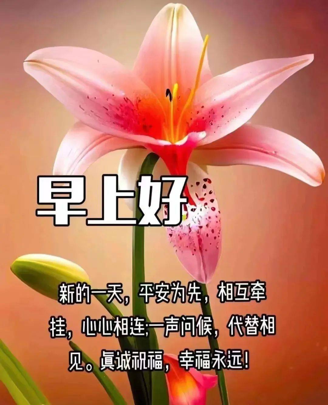 早上好