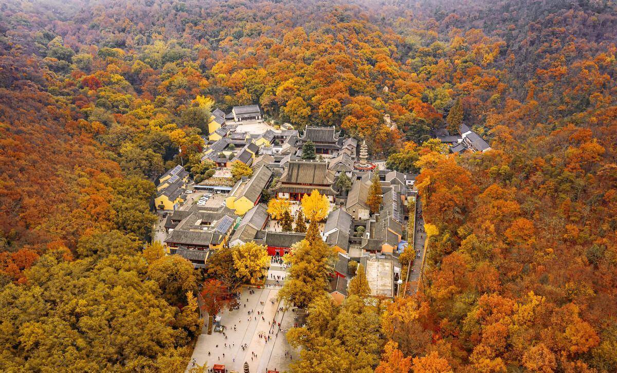 南京秋天最美的几个地方,你去过几个呢?_梧桐_中山陵_金陵