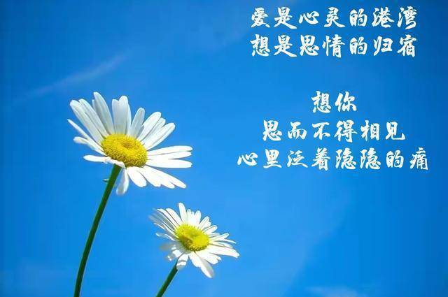 也会爱得一如始初,即便明知相思是空念一场也戒不掉,爱你想你,真爱你