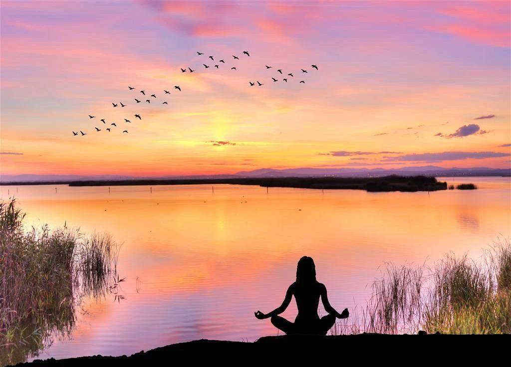 在后疫情时代,准备好自己,来到身心灵合一态_身体_世界_情绪