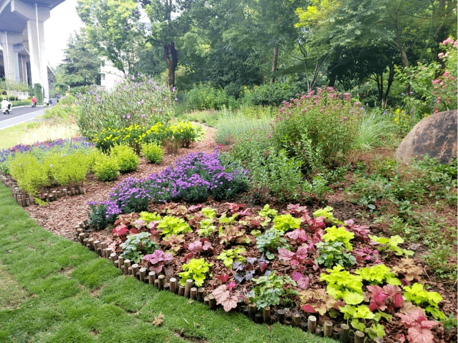 拱墅这些景观小品获奖了!_作品_植物_自然