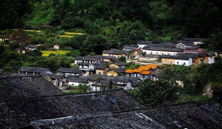 快来,去水头潭洞村,看佛冈最美秋色_梯田_土地_远方