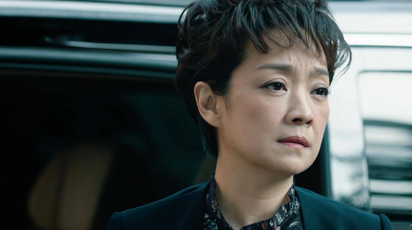 《巡回检察组》:张友成满盘皆输,悲惨结局让人心疼_电视剧_因为_成为