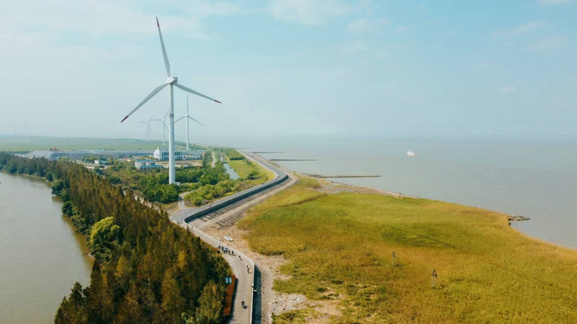 上海长兴岛骑行植树户外cs休闲一日游攻略_项目_桔园_餐厅