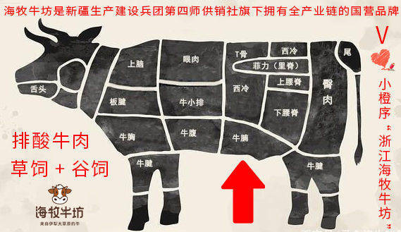 牛腩和牛肉的区别——牛腩和牛肉有什么区别？