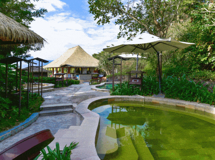 【暖冬游"南平小镇·赏梅花"】五星金叶子温泉酒店の艾米小镇小火车