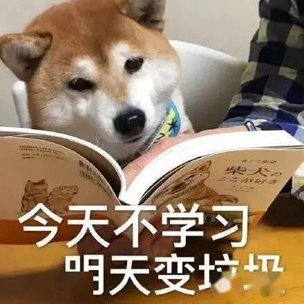 当你早晨在被窝里酣睡时你的室友悄悄背上了书包迎着朝阳走在了去图书