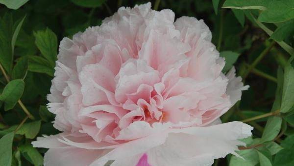 就算你再穷,也不要向别人借这3样东西,可能会麻烦不断_时候_情况_对方