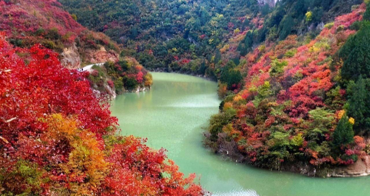 金秋时节,宝鸡灵官峡红叶漫山遍野,层林尽染,分外迷人