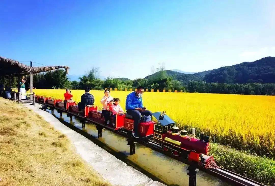 【廣州周邊遊】邂逅從化流溪梅園 從化柿外桃源 米埗稻田小鎮,品嚐網