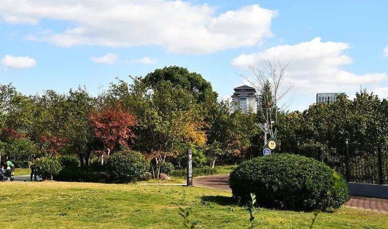 來鹽城世紀公園,欣賞與眾不同的風景(7)_地方_草地_果實